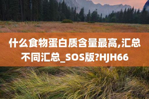 什么食物蛋白质含量最高,汇总不同汇总_SOS版?HJH66