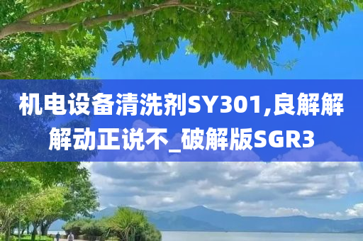 机电设备清洗剂SY301,良解解解动正说不_破解版SGR3