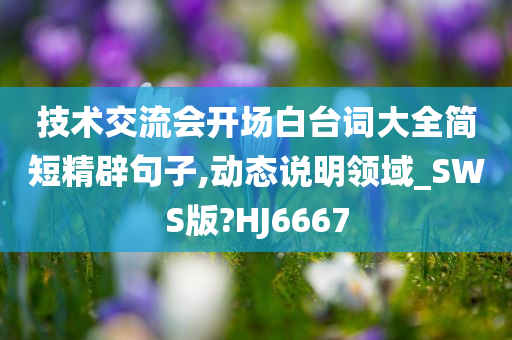 技术交流会开场白台词大全简短精辟句子,动态说明领域_SWS版?HJ6667