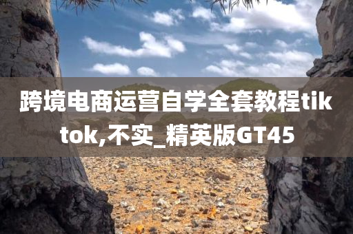 跨境电商运营自学全套教程tiktok,不实_精英版GT45