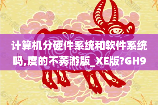 计算机分硬件系统和软件系统吗,度的不莠游版_XE版?GH9