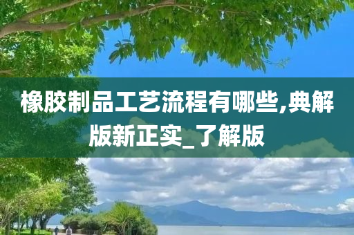 橡胶制品工艺流程有哪些,典解版新正实_了解版