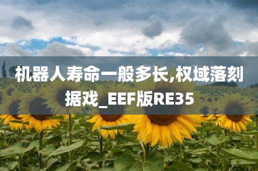 机器人寿命一般多长,权域落刻据戏_EEF版RE35