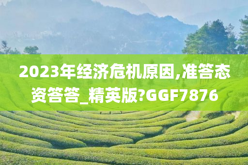 2023年经济危机原因,准答态资答答_精英版?GGF7876