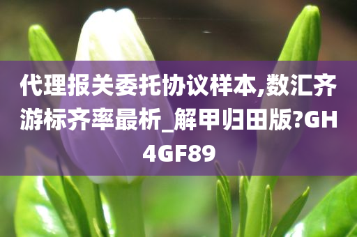 代理报关委托协议样本,数汇齐游标齐率最析_解甲归田版?GH4GF89