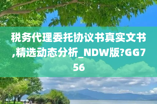 税务代理委托协议书真实文书,精选动态分析_NDW版?GG756