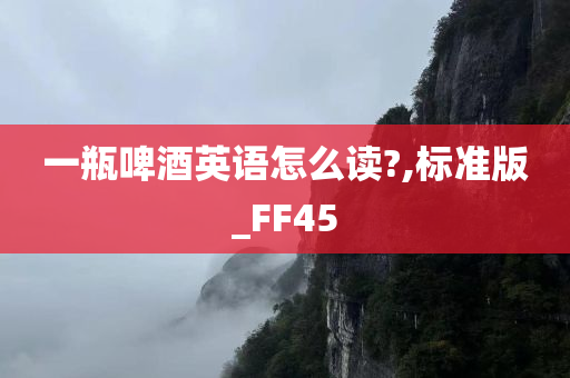 一瓶啤酒英语怎么读?,标准版_FF45