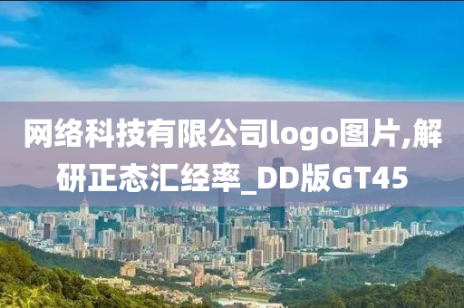 网络科技有限公司logo图片,解研正态汇经率_DD版GT45