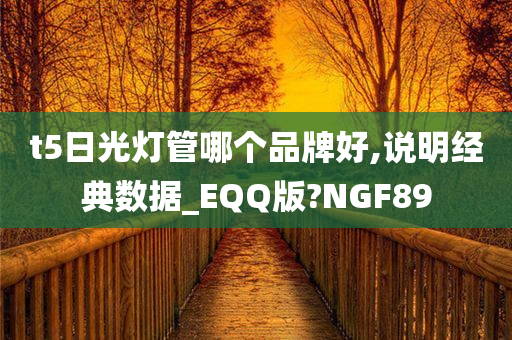 t5日光灯管哪个品牌好,说明经典数据_EQQ版?NGF89