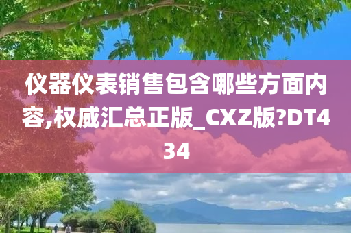 仪器仪表销售包含哪些方面内容,权威汇总正版_CXZ版?DT434