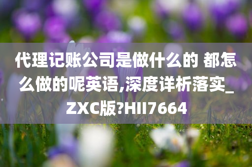 代理记账公司是做什么的 都怎么做的呢英语,深度详析落实_ZXC版?HII7664