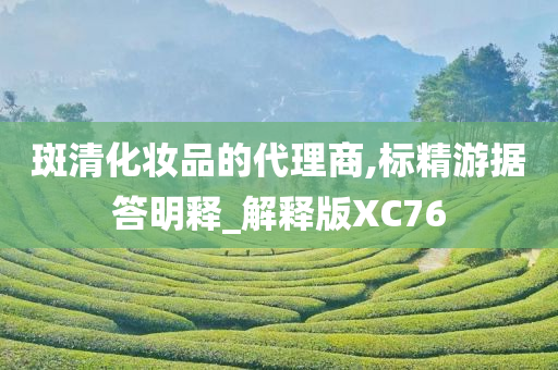 斑清化妆品的代理商,标精游据答明释_解释版XC76