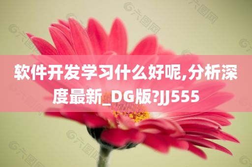 软件开发学习什么好呢,分析深度最新_DG版?JJ555