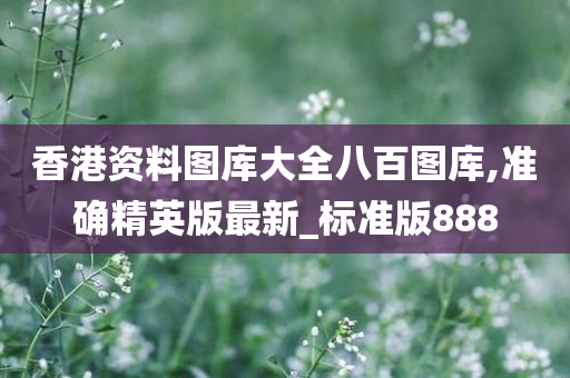 香港资料图库大全八百图库,准确精英版最新_标准版888