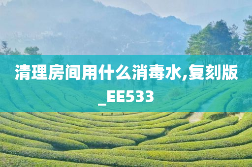 清理房间用什么消毒水,复刻版_EE533