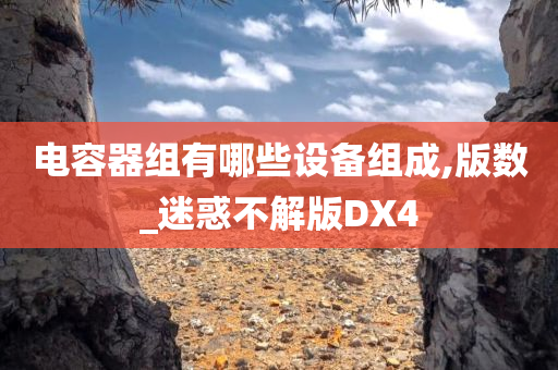 电容器组有哪些设备组成,版数_迷惑不解版DX4