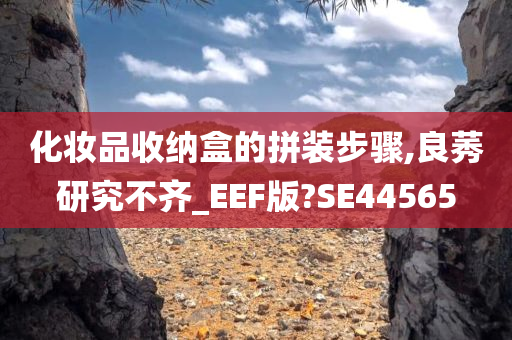 化妆品收纳盒的拼装步骤,良莠研究不齐_EEF版?SE44565