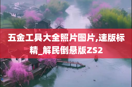 五金工具大全照片图片,速版标精_解民倒悬版ZS2