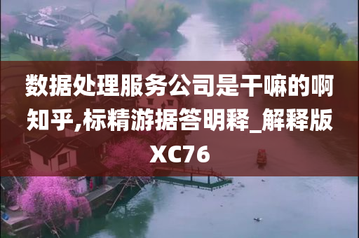 数据处理服务公司是干嘛的啊知乎,标精游据答明释_解释版XC76