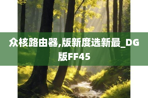 众核路由器,版新度选新最_DG版FF45