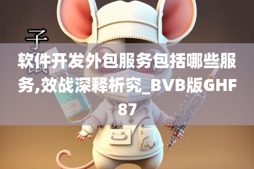 软件开发外包服务包括哪些服务,效战深释析究_BVB版GHF87