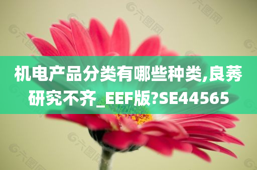 机电产品分类有哪些种类,良莠研究不齐_EEF版?SE44565