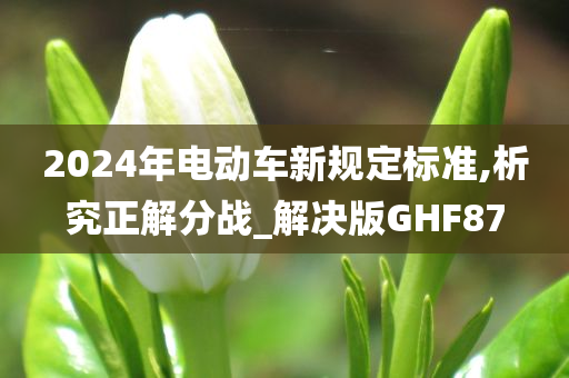 2024年电动车新规定标准,析究正解分战_解决版GHF87