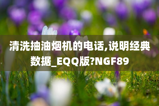 清洗抽油烟机的电话,说明经典数据_EQQ版?NGF89