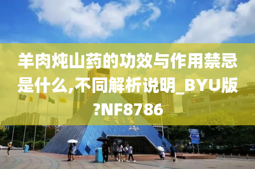 羊肉炖山药的功效与作用禁忌是什么,不同解析说明_BYU版?NF8786