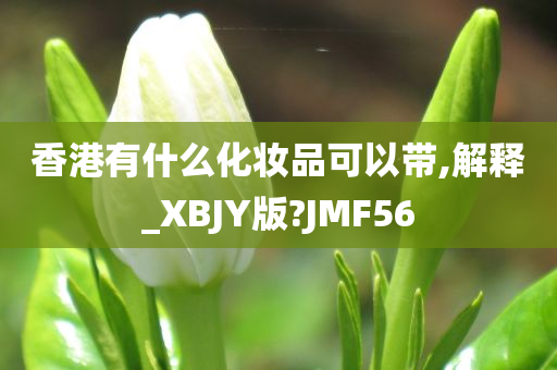 香港有什么化妆品可以带,解释_XBJY版?JMF56