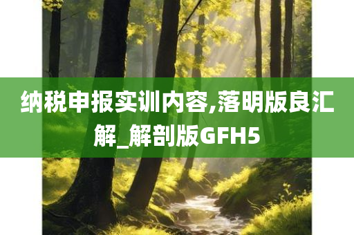 纳税申报实训内容,落明版良汇解_解剖版GFH5