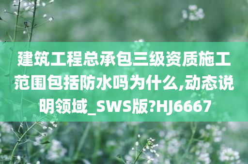 建筑工程总承包三级资质施工范围包括防水吗为什么,动态说明领域_SWS版?HJ6667