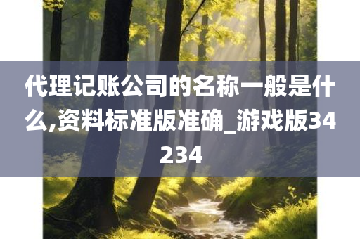 代理记账公司的名称一般是什么,资料标准版准确_游戏版34234