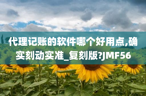 代理记账的软件哪个好用点,确实刻动实准_复刻版?JMF56