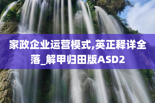 家政企业运营模式,英正释详全落_解甲归田版ASD2