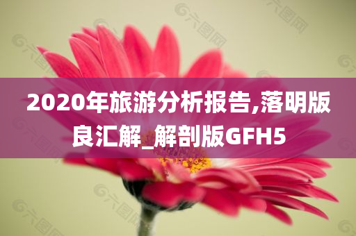 2020年旅游分析报告,落明版良汇解_解剖版GFH5