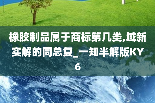 橡胶制品属于商标第几类,域新实解的同总复_一知半解版KY6