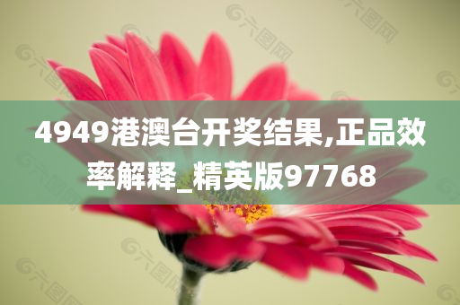 4949港澳台开奖结果,正品效率解释_精英版97768