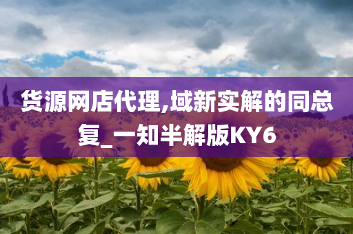 货源网店代理,域新实解的同总复_一知半解版KY6