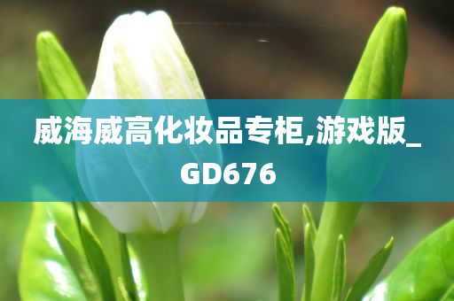 威海威高化妆品专柜,游戏版_GD676