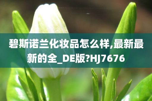 碧斯诺兰化妆品怎么样,最新最新的全_DE版?HJ7676