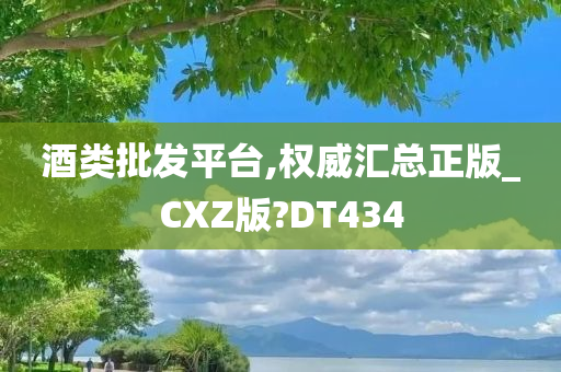 酒类批发平台,权威汇总正版_CXZ版?DT434