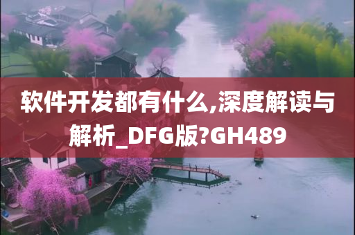 软件开发都有什么,深度解读与解析_DFG版?GH489