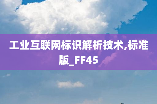 工业互联网标识解析技术,标准版_FF45