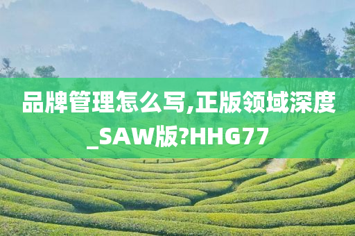 品牌管理怎么写,正版领域深度_SAW版?HHG77