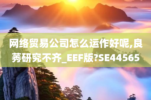 网络贸易公司怎么运作好呢,良莠研究不齐_EEF版?SE44565