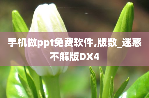 手机做ppt免费软件,版数_迷惑不解版DX4