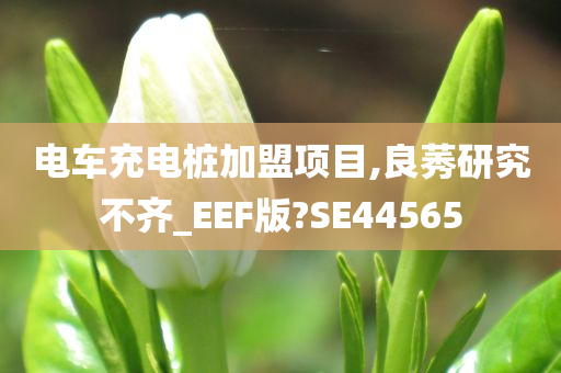 电车充电桩加盟项目,良莠研究不齐_EEF版?SE44565