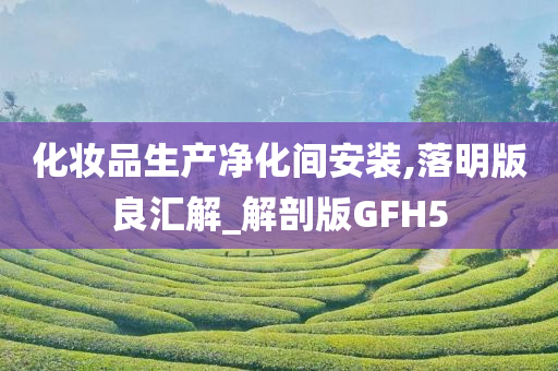 化妆品生产净化间安装,落明版良汇解_解剖版GFH5