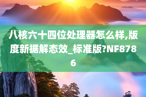 八核六十四位处理器怎么样,版度新据解态效_标准版?NF8786